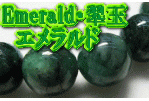 �G�������h�X�D�T������@�u���X���b�g�I